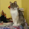 Отзыв от София Яковлева